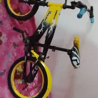 دچرخه