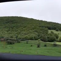 تور ایرون گرددی درفس مبرمتون هرشهری که مکگوید