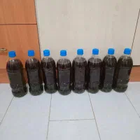 فروش روغن زیتون ناب مینودشت|خوردنی و آشامیدنی|مینودشت, |دیوار