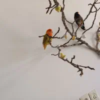 پرنده|پرنده|اصفهان, بهارستان|دیوار