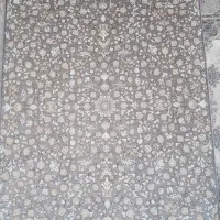 فرش ۱۰۰۰ شانه بهتر از طلا تراکم ۳۰۰۰نخ تمام