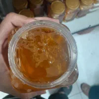 عسل ۱۰۰ درصد طبیعی گلستان ، ارسال رایگان