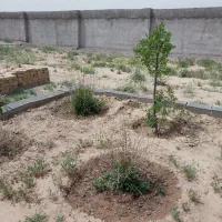 زمین باغی|فروش زمین و ملک کلنگی|مشهد, درزآب|دیوار