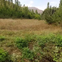 فروش-زمین