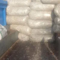 تفاله چغندر