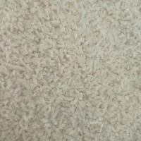 لاشه هاشمی معطر