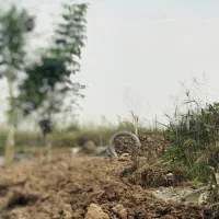 زمین مسکونی باغی واقع در شمال ایران