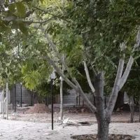 فروش یک قطعه زمین 200متری