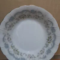 سرویس 12 نفره غذاخوری ژاپنی|ظروف سرو و پذیرایی|اصفهان, طامه|دیوار