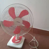 پنکه زمینی درحد