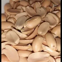 فروش و پخش کلیه محصولات خشکبار و تحویل در محل|عمده‌فروشی|خرمدره, |دیوار