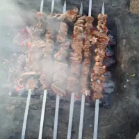 دستگاه مرغ بریان