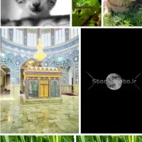ایده طراحی سایت