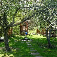 باغ گردو ومیوه درارزیل برجاده آبشار گل آخور