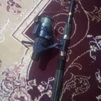 لنسر ماهی گیری