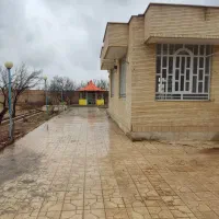 کلنگی-4روی-پیلوت-ابتدای-بزرگمهر