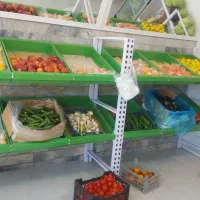 استند میوه و یخچال ویترینی|فروشگاه و مغازه|ماسال, |دیوار