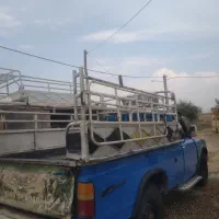 نیسان مدل ۸۵ معاوضه با میش تمیز بدون خط و خش