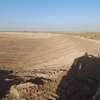 اجاره بلدوزر دی ۶