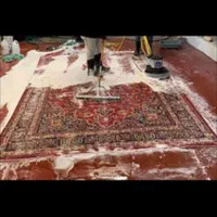 قالیشویی شهر فرش|خدمات نظافت|زنجان, |دیوار