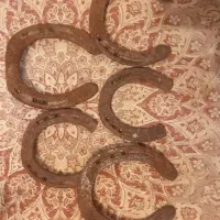 ۱۰۰عدد نعل اسب به فروش میرسد