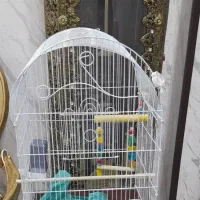 قفس پرنده