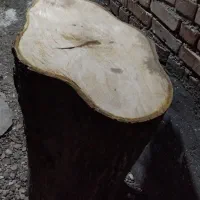 کنده گردو|کافیشاپ و رستوران|میاندوآب, |دیوار