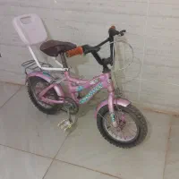 دوچرخه سایر ۱۲