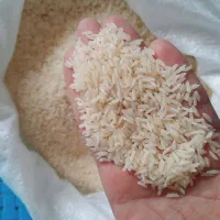 برنج ارگانیک محلی