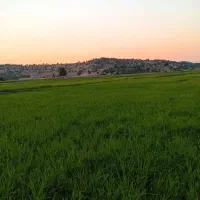 فروش-فوری-زمین