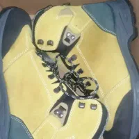 کتونی اصلی|کیف، کفش، کمربند|ری, شهادت|دیوار