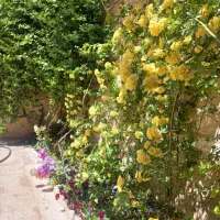 خانه مسافر ،ارزان،امن وارام|اجارهٔ کوتاه‌مدت آپارتمان و سوئیت|محلات, |دیوار