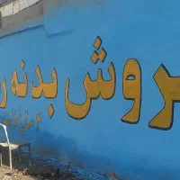 خطاطی ، دیوارنویسی