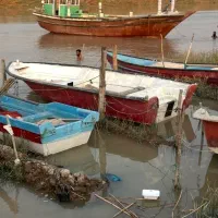 قایق ۱۹ فوت
