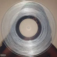 صفحه گرام Vinyl