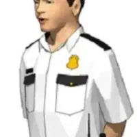 نیروی نگهبان وخدماتی