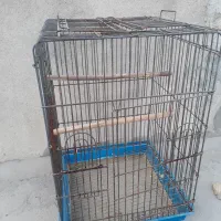 قفس کاسکویی بزرگ|لوازم جانبی حیوانات|قشم, |دیوار