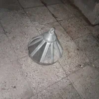 کفتر|پرنده|مشهد, انصار|دیوار