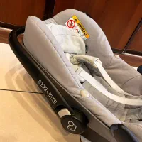 کریر نوزاد|کالسکه و لوازم جانبی|تبریز, |دیوار