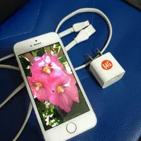 اپل iPhone 5s با حافظهٔ ۶۴ گیگابایت|موبایل|تهران, استاد معین|دیوار