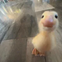 ایرپاد گمشده