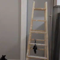 نقاشی ساختمان در تمام نقاط تهران(Skilled painter)