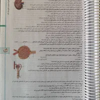 کتاب خیلی سبز زیست دهم|کتاب و مجله آموزشی|شاهینشهر, خبرنگار|دیوار