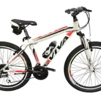 دوچرخه ویوا 26