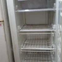 یک عددفریزرفیلورسالم