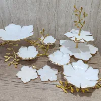 ظروف پذیرایی رزینی