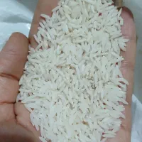 برنج دم زرد (صدری)  بالاتر از هاشمی در حد دمسیاه