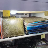 سبزیجات براتی|خوردنی و آشامیدنی|تکاب, |دیوار