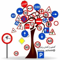 حرفه ای رانندگی کن|خدمات آموزشی|قرچک, مهدیه|دیوار