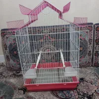 قفس عروس هلندی  مرغ عشق فنچ  مینا قناری  سهره